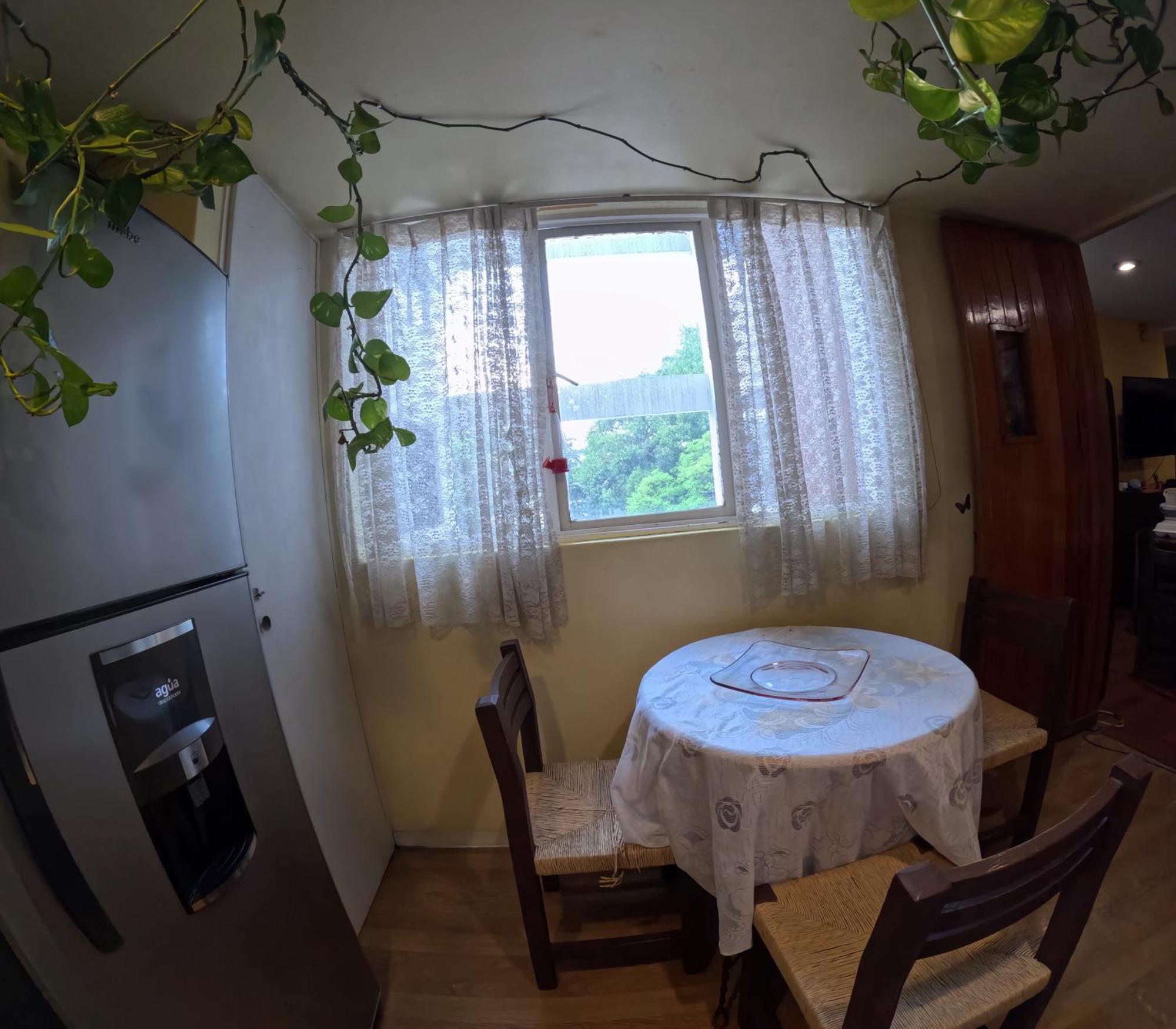 Neighbor Of Frida Khalo, Vintage Stay In Coyoacan Mexiko-Stadt Exterior foto